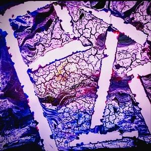 "PIG" acrylic paint pour on canvas